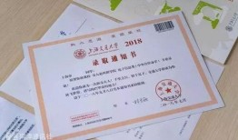 录取通知在线观看,在线观看背后的精彩瞬间